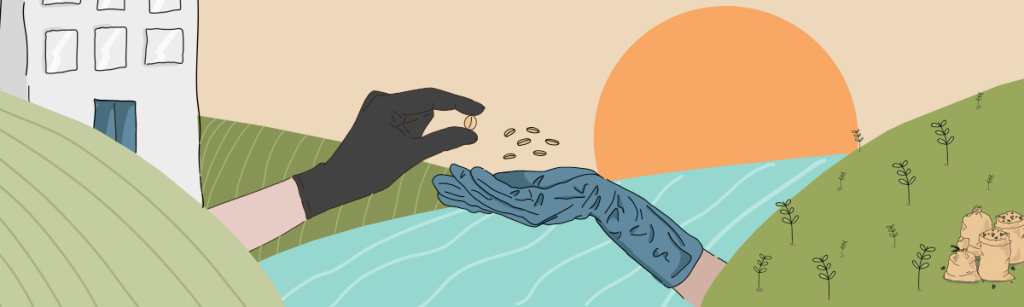 Seeds as Instrument of Domination: The Erosion of Sovereignty in Egyptian Agriculture